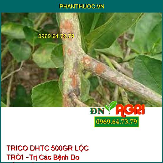 TRICO DHTC 500GR LỘC TRỜI –Trị Các Bệnh Do Nấm,Thối Rễ