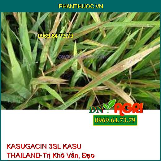 KASUGACIN 3SL KASU THAILAND-Trị Khô Vằn, Đạo Ôn,Sương Mai