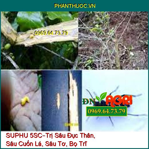 SUPHU 5SC–Trị Sâu Đục Thân, Sâu Cuốn Lá, Sâu Tơ, Bọ Trĩ