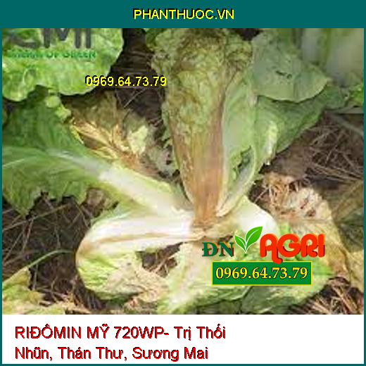 RIĐÔMIN MỸ 720WP- Trị Thối Nhũn, Thán Thư, Sương Mai