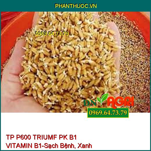 TP P600 TRIUMF PK B1 VITAMIN B1-Sạch Bệnh, Xanh Cây