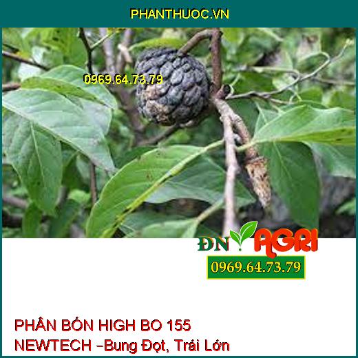 PHÂN BÓN HIGH BO 155 NEWTECH –Bung Đọt, Trái Lớn