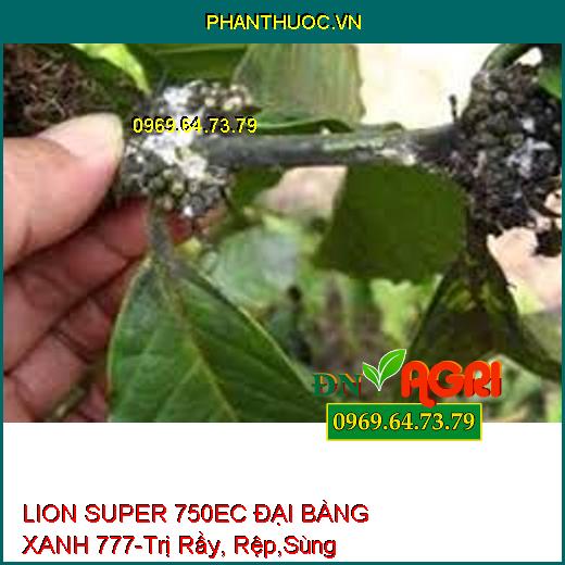 LION SUPER 750EC ĐẠI BÀNG XANH 777-Trị Rầy, Rệp,Sùng Hà