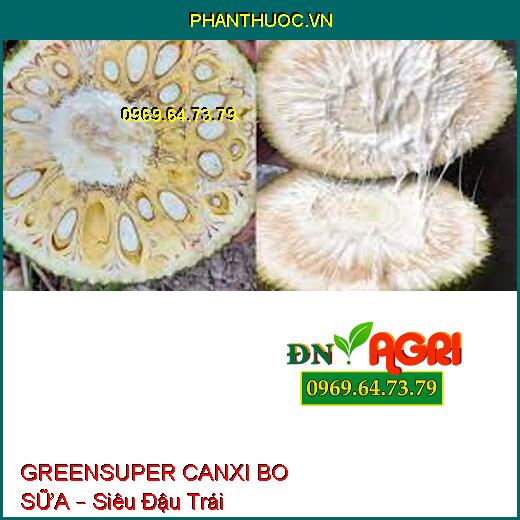 GREENSUPER CANXI BO SỮA – Siêu Đậu Trái