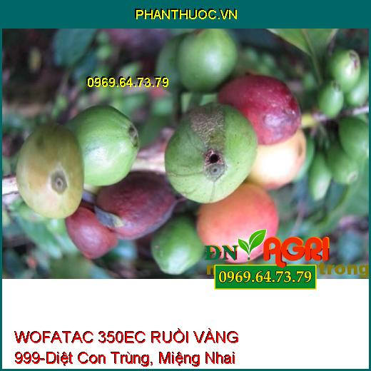 WOFATAC 350EC RUỒI VÀNG 999-Diệt Con Trùng, Miệng Nhai