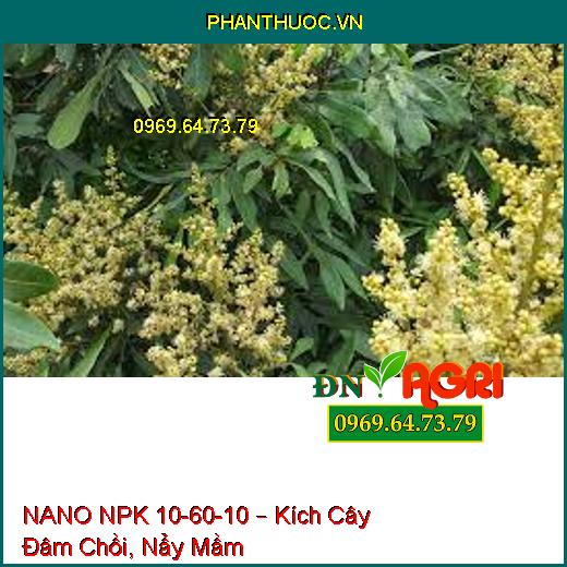 NANO NPK 10-60-10 – Kích Cây Đâm Chồi, Nẩy Mầm