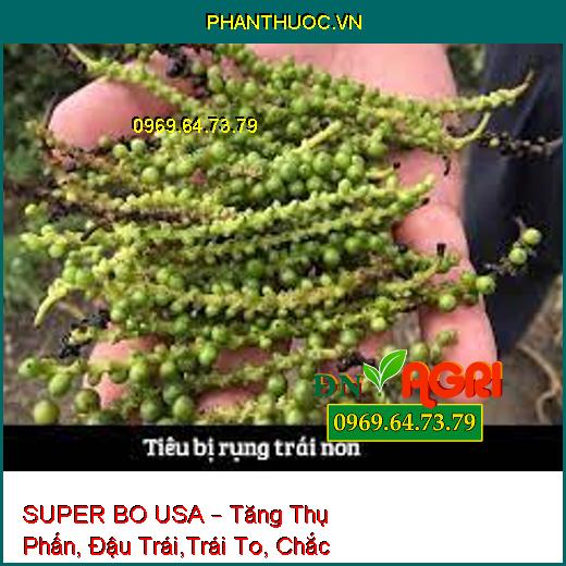 SUPER BO USA – Tăng Thụ Phấn, Đậu Trái,Trái To, Chắc Hạt