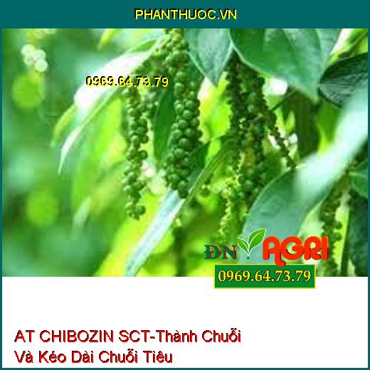 AT CHIBOZIN SCT-Thành Chuỗi Và Kéo Dài Chuỗi Tiêu