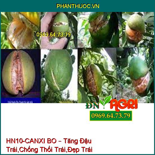 HN10-CANXI BO – Tăng Đậu Trái,Chống Thối Trái,Đẹp Trái