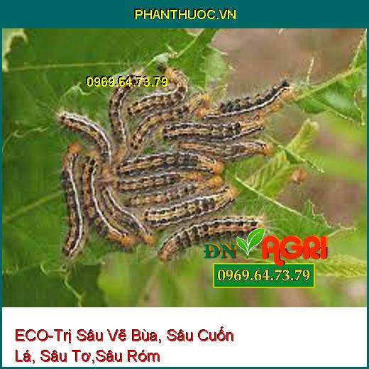 ECO-Trị Sâu Vẽ Bùa, Sâu Cuốn Lá, Sâu Tơ,Sâu Róm