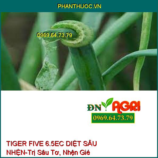 TIGER FIVE 6.5EC DIỆT SÂU NHỆN-Trị Sâu Tơ, Nhện Gié