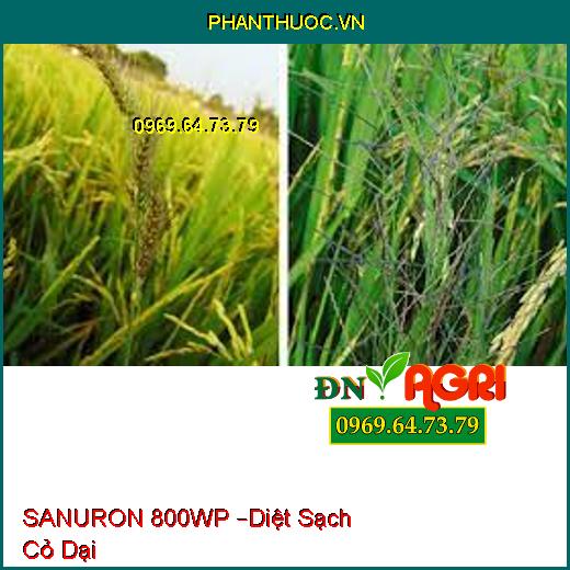 SANURON 800WP –Diệt Sạch Cỏ Dại