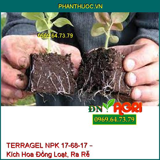 TERRAGEL NPK 17-68-17 – Kích Hoa Đồng Loạt, Ra Rễ