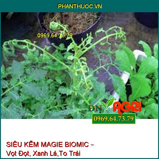 SIÊU KẼM MAGIE BIOMIC – Vọt Đọt, Xanh Lá,To Trái