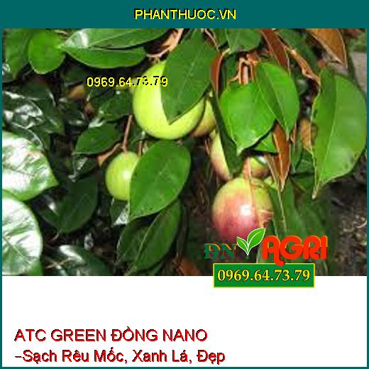 ATC GREEN ĐỒNG NANO –Sạch Rêu Mốc, Xanh Lá, Đẹp Trái