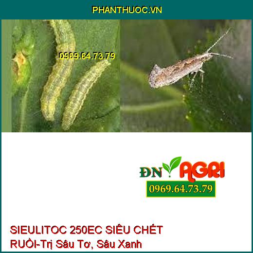 SIEULITOC 250EC SIÊU CHẾT RUỒI-Trị Sâu Tơ, Sâu Xanh