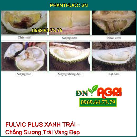 FULVIC PLUS XANH TRÁI – Chống Sượng,Trái Vàng Đẹp