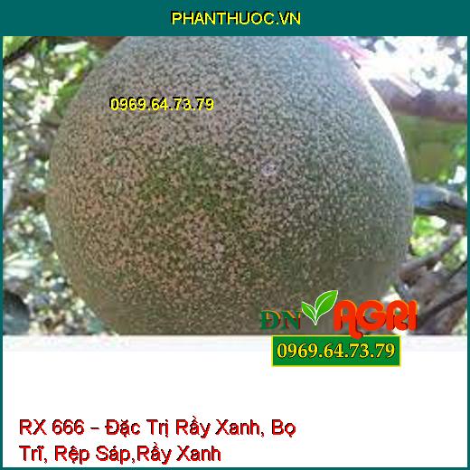 RX 666 – Đặc Trị Rầy Xanh, Bọ Trĩ, Rệp Sáp,Rầy Xanh