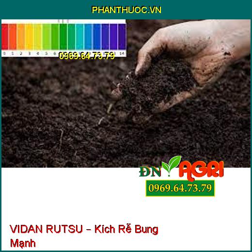 VIDAN RUTSU – Kích Rễ Bung Mạnh