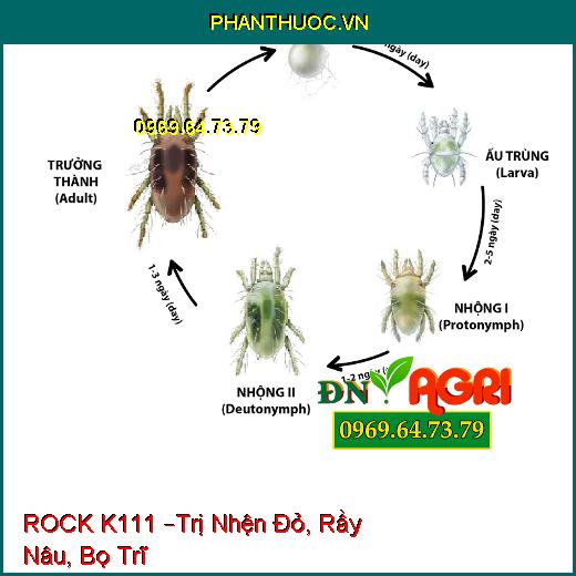 ROCK K111 –Trị Nhện Đỏ, Rầy Nâu, Bọ Trĩ