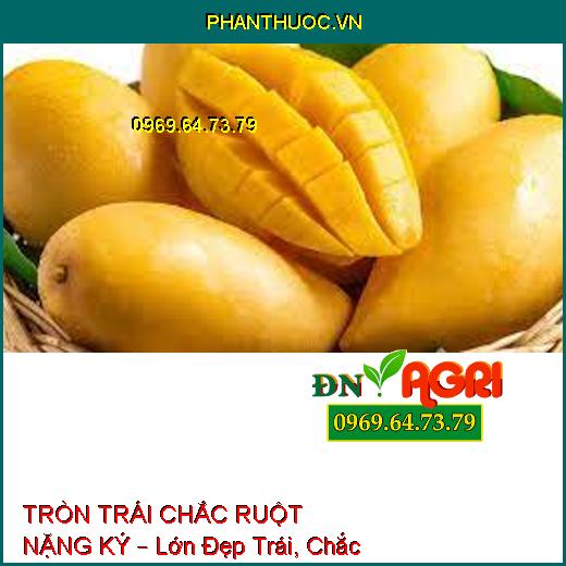 TRÒN TRÁI CHẮC RUỘT NẶNG KÝ – Lớn Đẹp Trái, Chắc Hạt