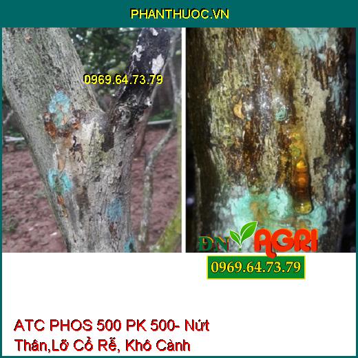 ATC PHOS 500 PK 500- Nứt Thân,Lỡ Cổ Rễ, Khô Cành