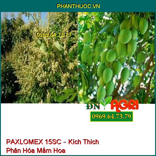 PAXLOMEX 15SC – Kích Thích Phân Hóa Mầm Hoa