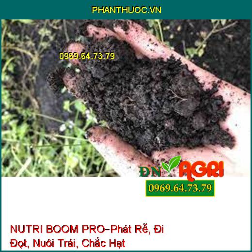 NUTRI BOOM PRO–Phát Rễ, Đi Đọt, Nuôi Trái, Chắc Hạt