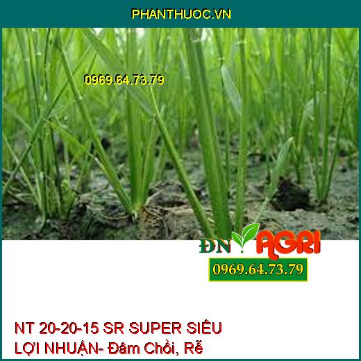 NT 20-20-15 SR SUPER SIÊU LỢI NHUẬN- Đâm Chồi, Rễ