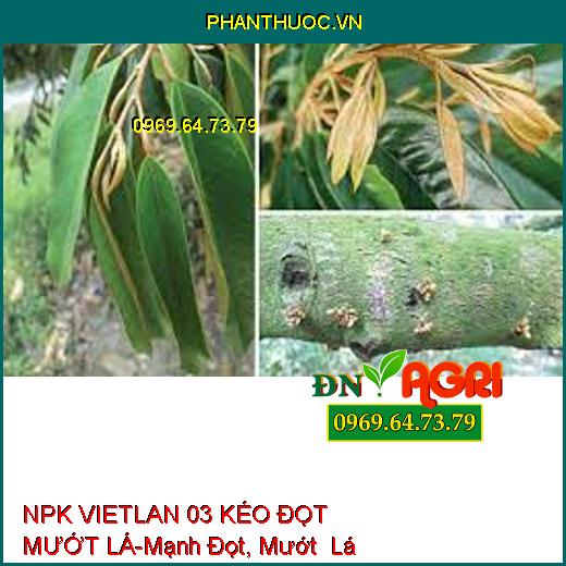 NPK VIETLAN 03 KÉO ĐỌT MƯỚT LÁ-Mạnh Đọt, Mướt Lá