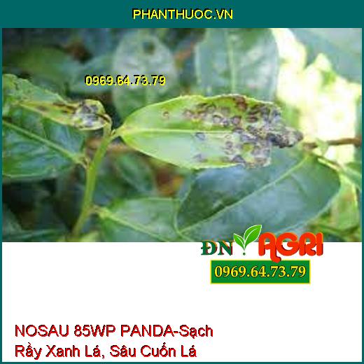 NOSAU 85WP PANDA-Sạch Rầy Xanh Lá, Sâu Cuốn Lá