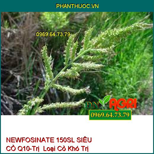 NEWFOSINATE 150SL SIÊU CỎ Q10-Trị Loại Cỏ Khó Trị