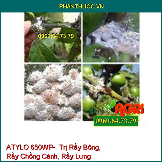 ATYLO 650WP- Trị Rầy Bông, Rầy Chổng Cánh, Rầy Lưng Trắng