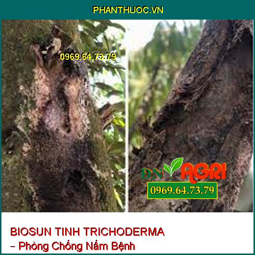 BIOSUN TINH TRICHODERMA – Phòng Chống Nấm Bệnh