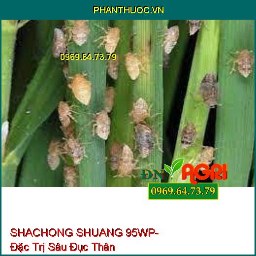 SHACHONG SHUANG 95WP- Đặc Trị Sâu Đục Thân