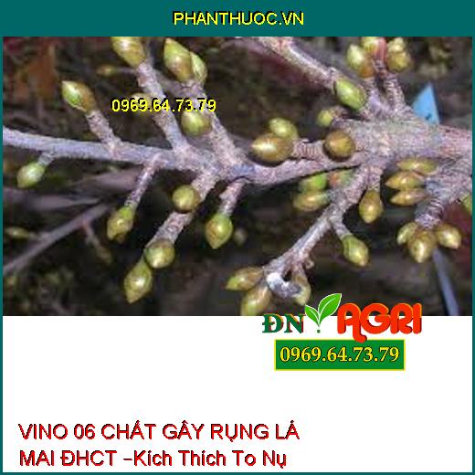 VINO 06 CHẤT GÂY RỤNG LÁ MAI ĐHCT –Kích Thích To Nụ Hoa