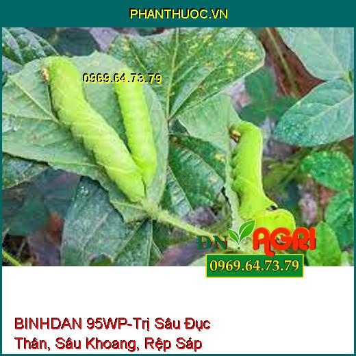 BINHDAN 95WP-Trị Sâu Đục Thân, Sâu Khoang, Rệp Sáp