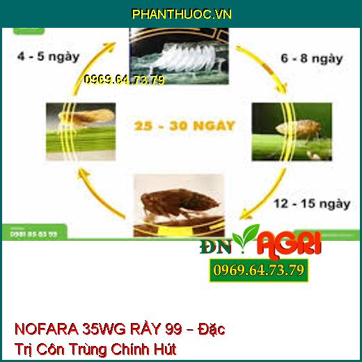 NOFARA 35WG RẦY 99 – Đặc Trị Côn Trùng Chính Hút