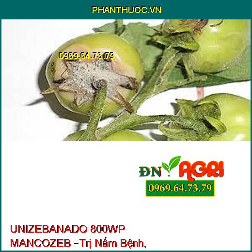 UNIZEBANADO 800WP MANCOZEB –Trị Nấm Bệnh, Sương Mai