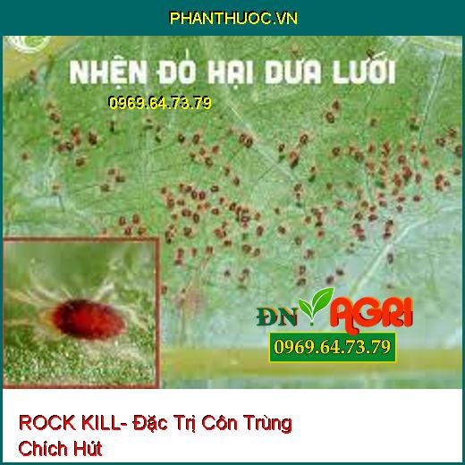 ROCK KILL- Đặc Trị Côn Trùng Chích Hút