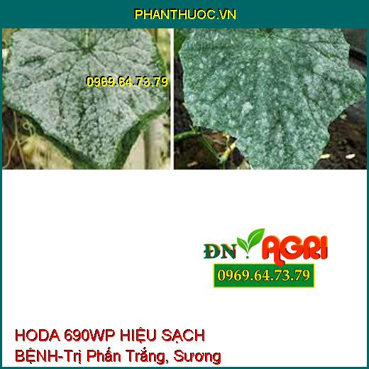 HODA 690WP HIỆU SẠCH BỆNH-Trị Phấn Trắng, Sương Mai