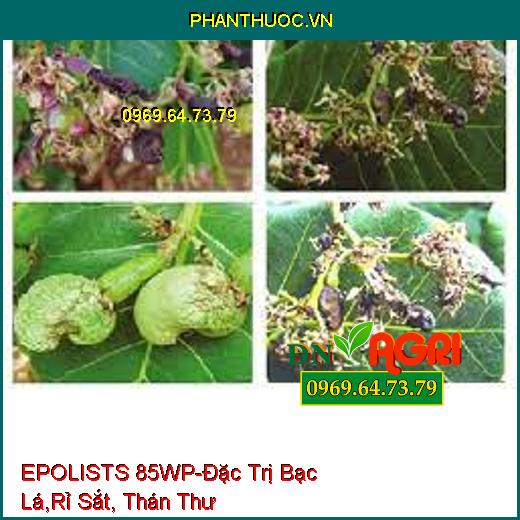 EPOLISTS 85WP-Đặc Trị Bạc Lá,Rỉ Sắt, Thán Thư