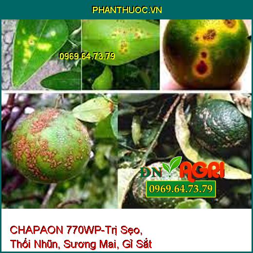 CHAPAON 770WP-Trị Sẹo, Thối Nhũn, Sương Mai, Gỉ Sắt