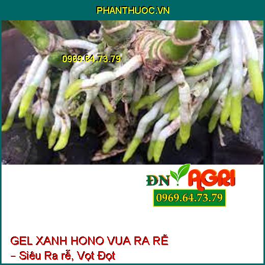 GEL XANH HONO VUA RA RỄ – Siêu Ra rễ, Vọt Đọt