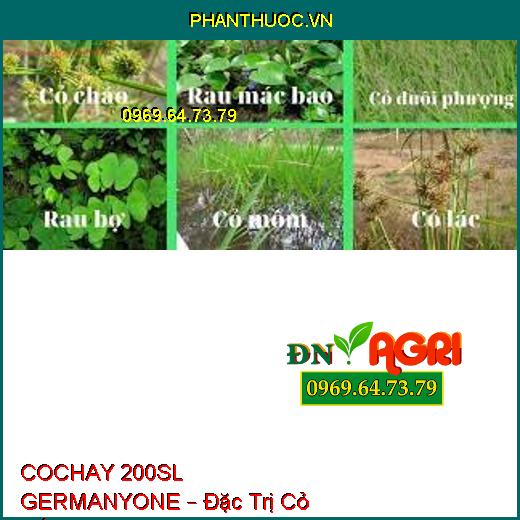 COCHAY 200SL GERMANYONE – Đặc Trị Cỏ Gấu, Cỏ Chỉ