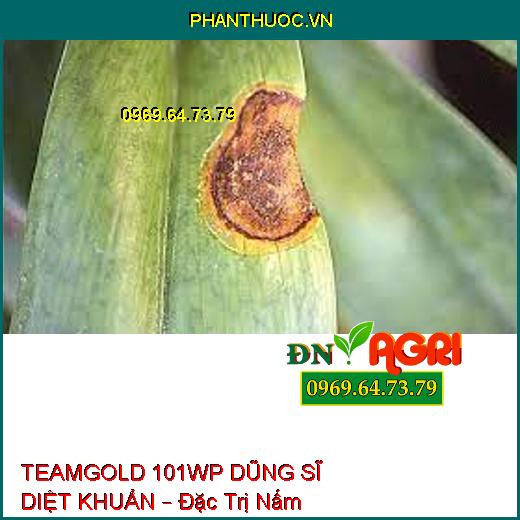 TEAMGOLD 101WP DŨNG SĨ DIỆT KHUẨN – Đặc Trị Nấm