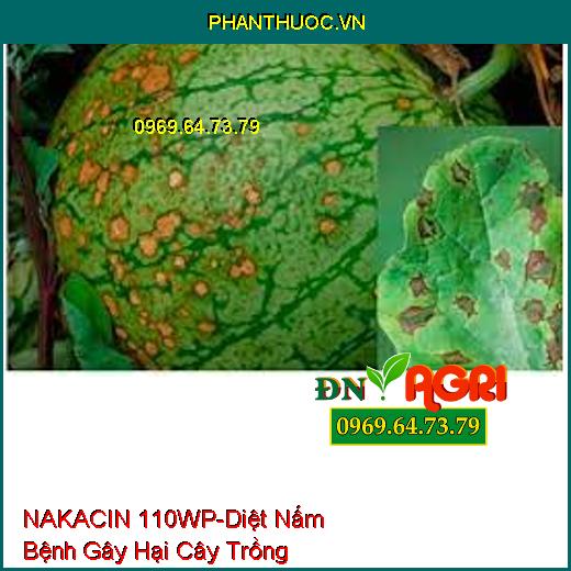 NAKACIN 110WP-Diệt Nấm Bệnh Gây Hại Cây Trồng