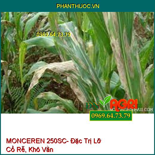 MONCEREN 250SC- Đặc Trị Lỡ Cổ Rễ, Khô Vằn