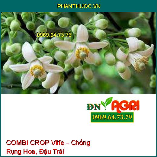 COMBI CROP Vlife – Chống Rụng Hoa, Đậu Trái