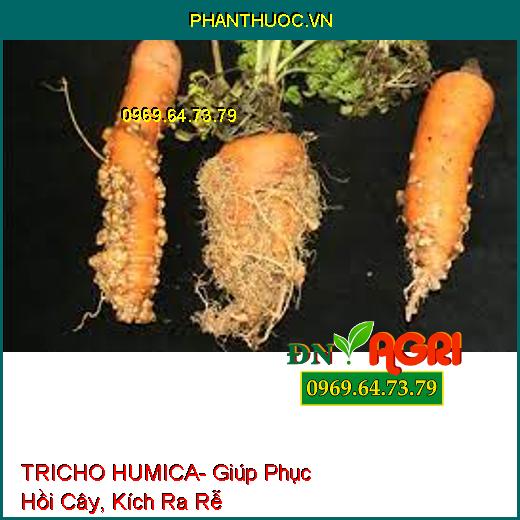 TRICHO HUMICA- Giúp Phục Hồi Cây, Kích Ra Rễ